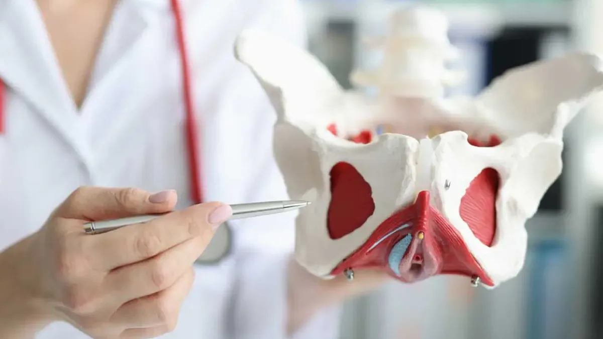 Different Types of Antenatal Scans: Complete Guide